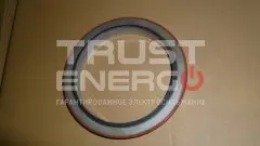 Сальник (130х170 х13)вала коленчатого задний TDS 280 6LT/Rear oil seal