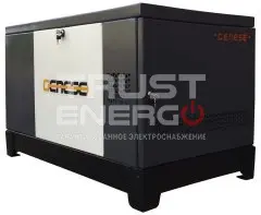 Газовый генератор Genese Pro 12000 Neva кожухе с АВР В кожухе Robin-Subaru EH72DS trustenergo.ru