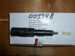 Форсунка TDS 228 6LT/Injector