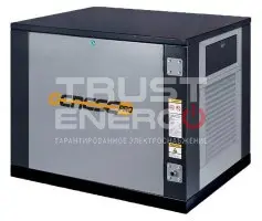 Газовый генератор Genese Pro 6250 Neva кожухе с АВР