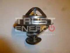 Термостат TDQ 25 4L(Т=72 гр)/Thermostat