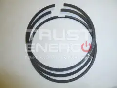 Кольца поршневые TDS 555 12VTE/Piston rings, kit