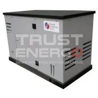 Газовый генератор REG ARCTIC GG10-380S В кожухе REG 680 trustenergo.ru Газовый генератор REG ARCTIC GG10-380S В кожухе REG 680 trustenergo.ru