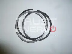 Кольца поршневые TDQ 25 4L (к-т на 1 поршень)/Piston rings, kit