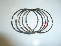 Кольца поршневые EX17/Piston rings, kit ТРАСТ-ЭНЕРГО