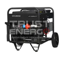 Бензиновый генератор Hyundai HY 12000LE-3